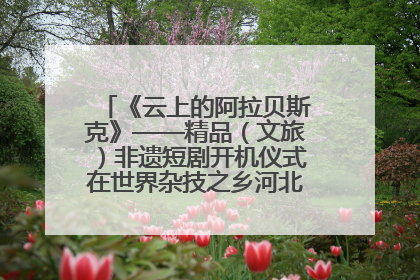《云上的阿拉贝斯克》——精品（文旅）非遗短剧开机仪式在世界杂技之乡河北吴桥成功举办