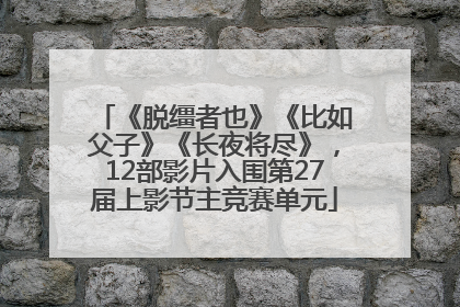 《脱缰者也》《比如父子》《长夜将尽》，12部影片入围第27届上影节主竞赛单元