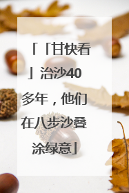「甘快看」治沙40多年，他们在八步沙叠涂绿意