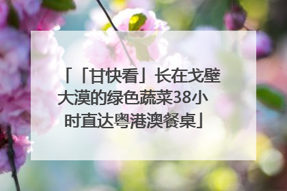 「甘快看」长在戈壁大漠的绿色蔬菜38小时直达粤港澳餐桌