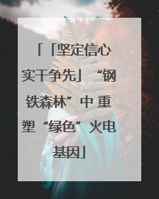 「坚定信心 实干争先」“钢铁森林”中 重塑“绿色”火电基因