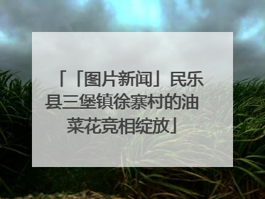「图片新闻」民乐县三堡镇徐寨村的油菜花竞相绽放