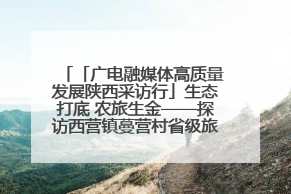 「广电融媒体高质量发展陕西采访行」生态打底 农旅生金——探访西营镇蔓营村省级旅游示范村的振兴密码