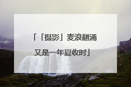 「摄影」麦浪翻涌 又是一年夏收时