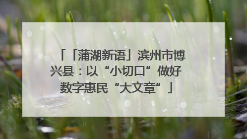 「蒲湖新语」滨州市博兴县：以“小切口”做好数字惠民“大文章”