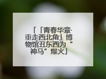 「青春华章·重走西北角」博物馆丑东西为“神马”爆火