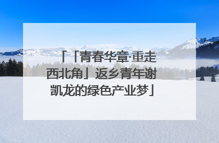 「青春华章·重走西北角」返乡青年谢凯龙的绿色产业梦