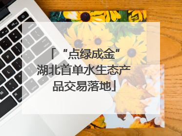 “点绿成金” 湖北首单水生态产品交易落地