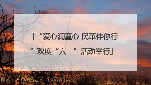 “爱心润童心 民革伴你行”欢度“六一”活动举行