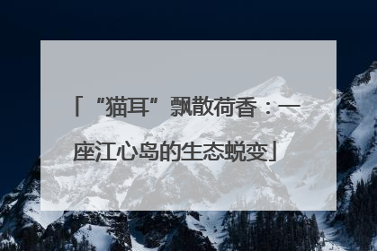 “猫耳”飘散荷香：一座江心岛的生态蜕变