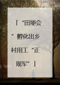 “田埂会”孵化出乡村用工“正规军”