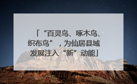 “百灵鸟、啄木鸟、织布鸟”，为仙居县域发展注入“新”动能