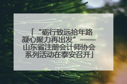 “砺行致远拾年路 凝心聚力再出发”——山东省注册会计师协会系列活动在泰安召开