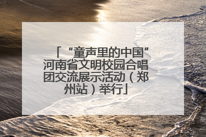 “童声里的中国”河南省文明校园合唱团交流展示活动（郑州站）举行