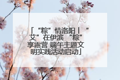 “粽”情洛阳丨“艾”在伊滨 “粽”享露营 端午主题文明实践活动启动