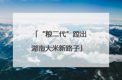 “粮二代”蹚出湖南大米新路子