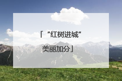 “红树进城” 美丽加分