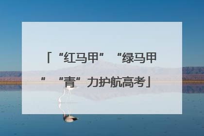 “红马甲”“绿马甲”“青”力护航高考
