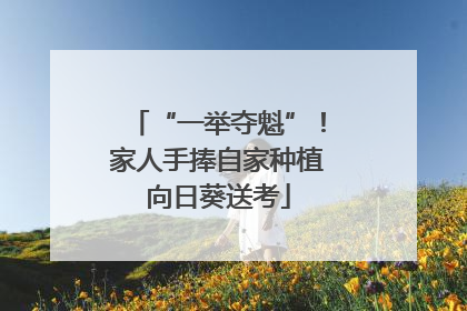 “一举夺魁”！家人手捧自家种植向日葵送考