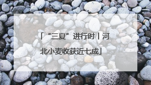 “三夏”进行时丨河北小麦收获近七成
