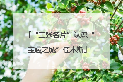 “三张名片”认识“宝藏之城”佳木斯