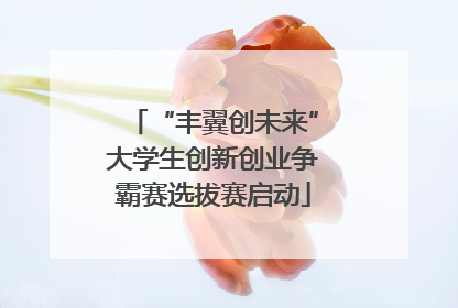“丰翼创未来”大学生创新创业争霸赛选拔赛启动