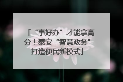 “事好办”才能拿高分！泰安“智慧政务”打造便民新模式