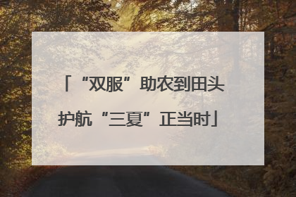 “双服”助农到田头 护航“三夏”正当时