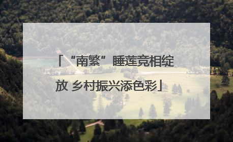 “南繁”睡莲竞相绽放 乡村振兴添色彩