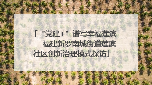“党建+”谱写幸福莲滨——福建新罗南城街道莲滨社区创新治理模式探访
