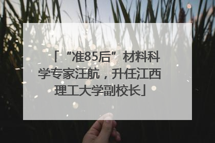 “准85后”材料科学专家汪航，升任江西理工大学副校长