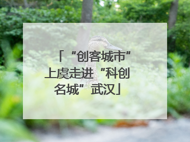 “创客城市”上虞走进“科创名城”武汉