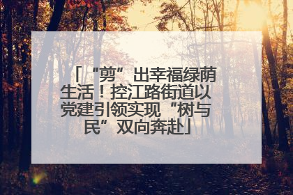 “剪”出幸福绿荫生活！控江路街道以党建引领实现“树与民”双向奔赴