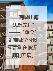 “商城出海 思想先行”——“双会”进商城学习调研活动在临沂顺利开展