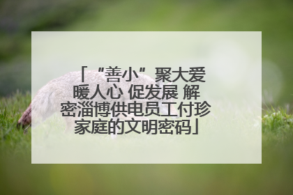 “善小”聚大爱 暖人心 促发展 解密淄博供电员工付珍家庭的文明密码