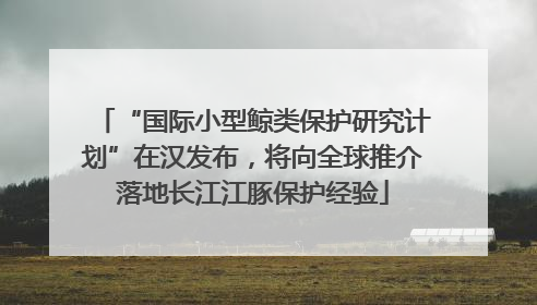 “国际小型鲸类保护研究计划”在汉发布，将向全球推介落地长江江豚保护经验