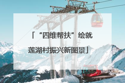 “四维帮扶”绘就莲湖村振兴新图景