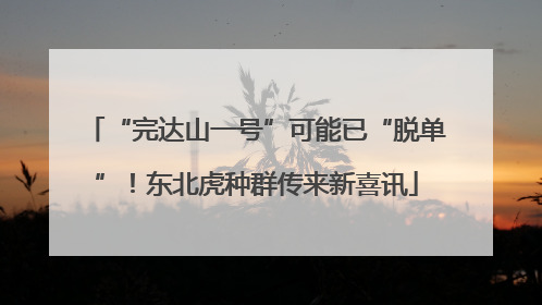 “完达山一号”可能已“脱单”！东北虎种群传来新喜讯
