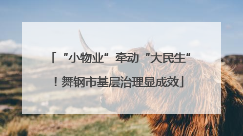 “小物业”牵动“大民生”！舞钢市基层治理显成效