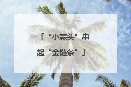 “小蒜头”串起“金链条”