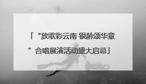 “放歌彩云南 银龄颂华章”合唱展演活动盛大启幕