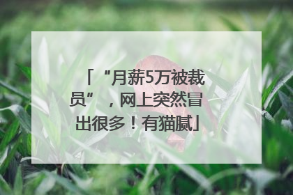 “月薪5万被裁员”，网上突然冒出很多！有猫腻