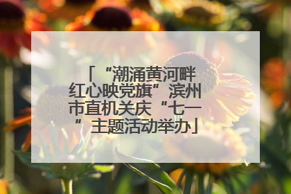 “潮涌黄河畔 红心映党旗”滨州市直机关庆“七一”主题活动举办