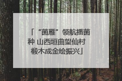 “菌雁”领航播菌种 山西垣曲望仙村椴木成金绘振兴