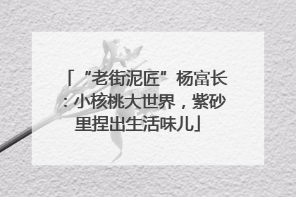 “老街泥匠”杨富长：小核桃大世界，紫砂里捏出生活味儿