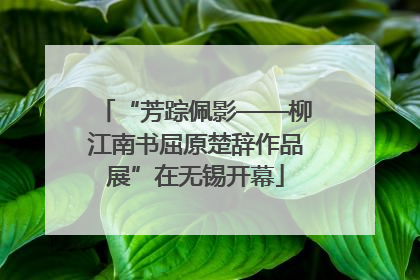 “芳踪佩影——柳江南书屈原楚辞作品展”在无锡开幕