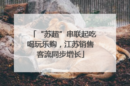 “苏超”串联起吃喝玩乐购，江苏销售客流同步增长