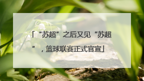 “苏超”之后又见“苏超”，篮球联赛正式官宣