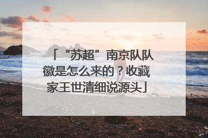 “苏超”南京队队徽是怎么来的？收藏家王世清细说源头