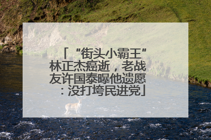 “街头小霸王”林正杰癌逝，老战友许国泰曝他遗愿：没打垮民进党